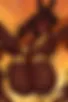 Images hidden in the story