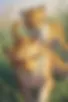 Images hidden in the story