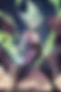 Images hidden in the story