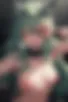 Images hidden in the story