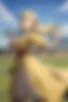 Images hidden in the story
