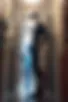 Images hidden in the story