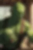 Images hidden in the story