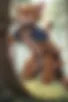Images hidden in the story
