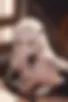Images hidden in the story