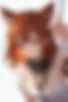 Images hidden in the story