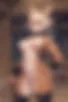 Images hidden in the story