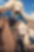 Images hidden in the story
