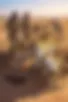 Images hidden in the story