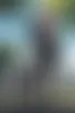 Images hidden in the story