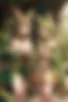 Images hidden in the story