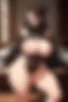 Images hidden in the story