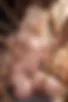 Images hidden in the story