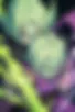 Images hidden in the story