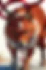 Images hidden in the story