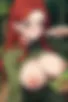 Images hidden in the story