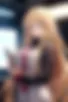 Images hidden in the story