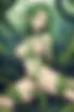 Images hidden in the story