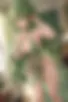 Images hidden in the story