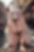 Images hidden in the story