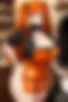Images hidden in the story